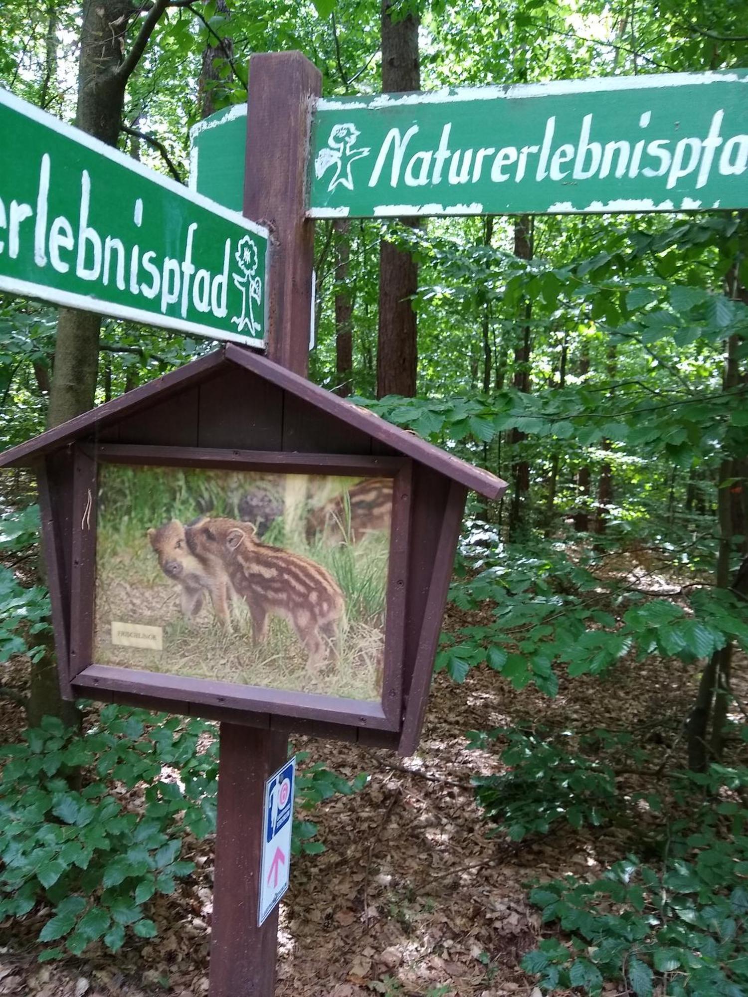 Zwei Seen Ferienhaus Canow 外观 照片